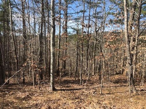 Wooded Acreage for Sale in Pickens : Fairmount : Cherokee County : Georgia