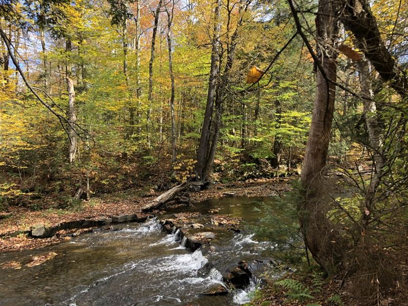 Prince Brook Waters Edge : Osceola : Lewis County : New York