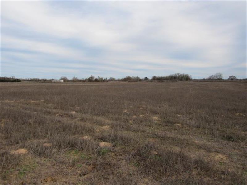 Vacant Residential Land To Build : Oakwood : Leon County : Texas