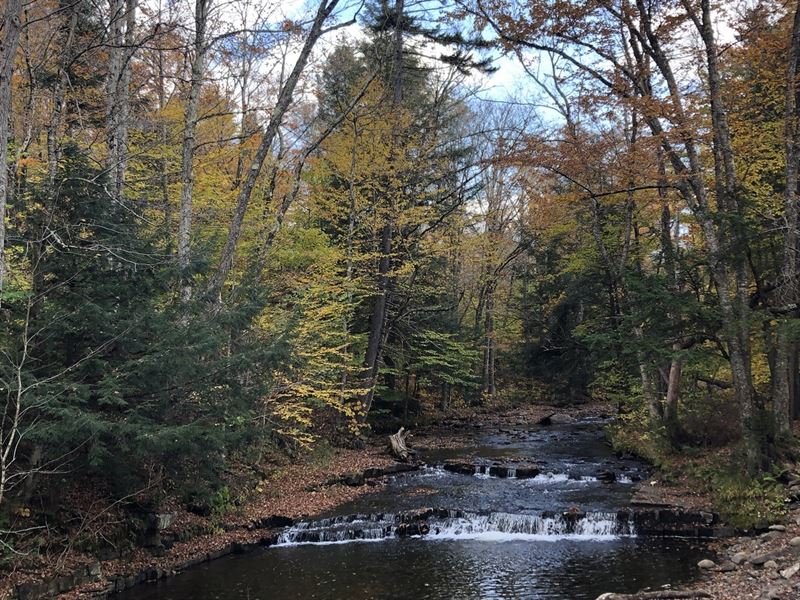 On Scenic Prince Brook : Osceola : Lewis County : New York