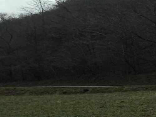 Beautiful 45 Acres of Woodland : Thorn Hill : Hancock County : Tennessee