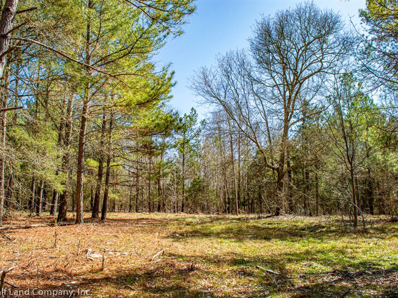 homes for sale on lake greenwood waterloo sc