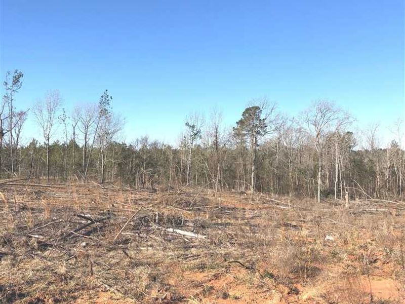 152 Acre Timber Tract : Henderson : Rusk County : Texas