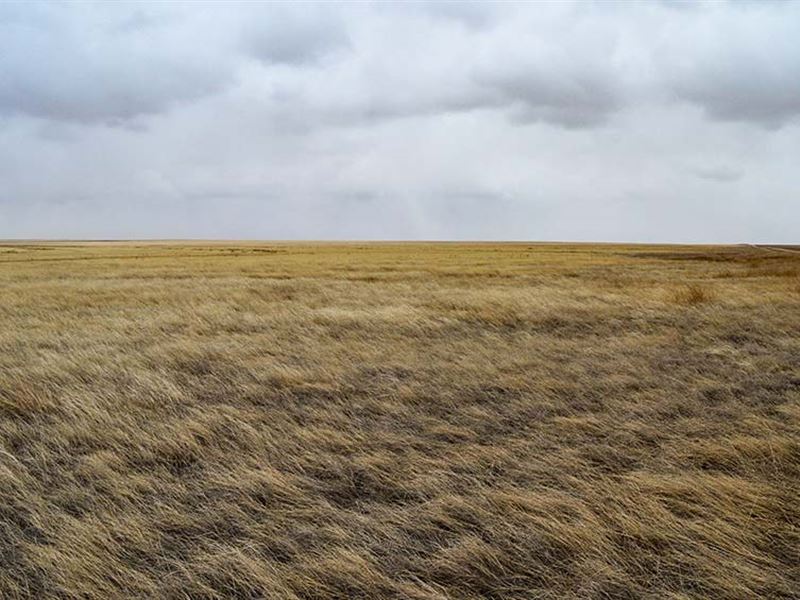 1126 Crp Acres, Kiowa County, CO : Eads : Kiowa County : Colorado