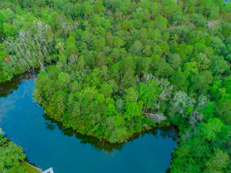 Upper Cool Springs Lake Tract : Camden : Kershaw County : South Carolina