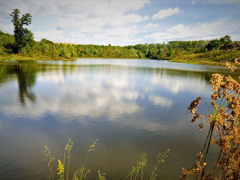 950 Acres of Farmland : Grandview : Rhea County : Tennessee