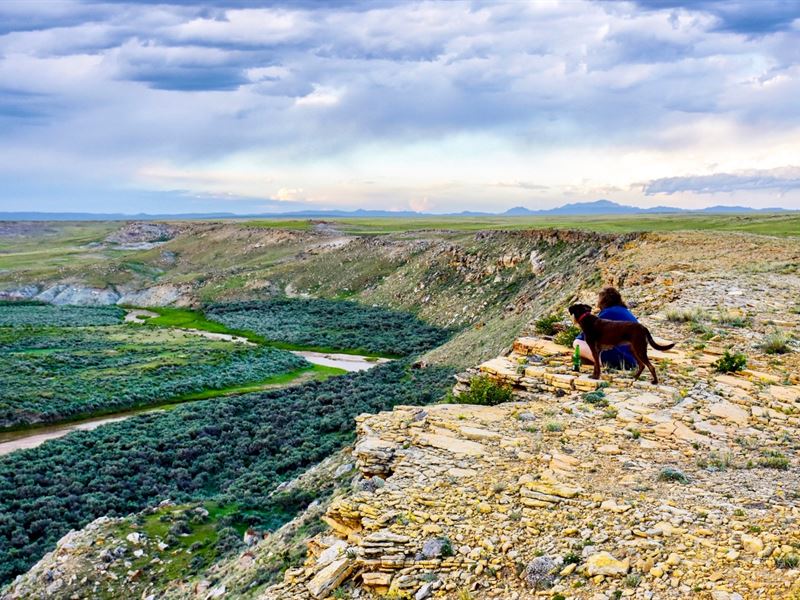 Land Along River & Creek with Views : Medicine Bow : Carbon County : Wyoming