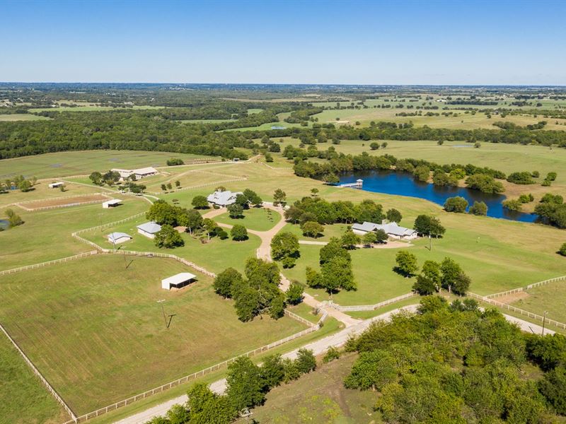 Country essay giant texas 06 picture