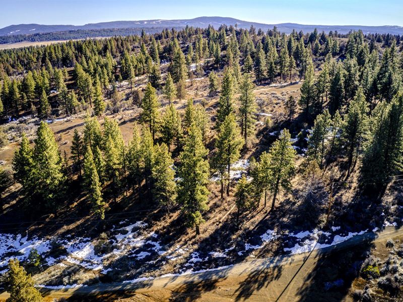 2.32 Acres with Power Ready for You : Chiloquin : Klamath County : Oregon
