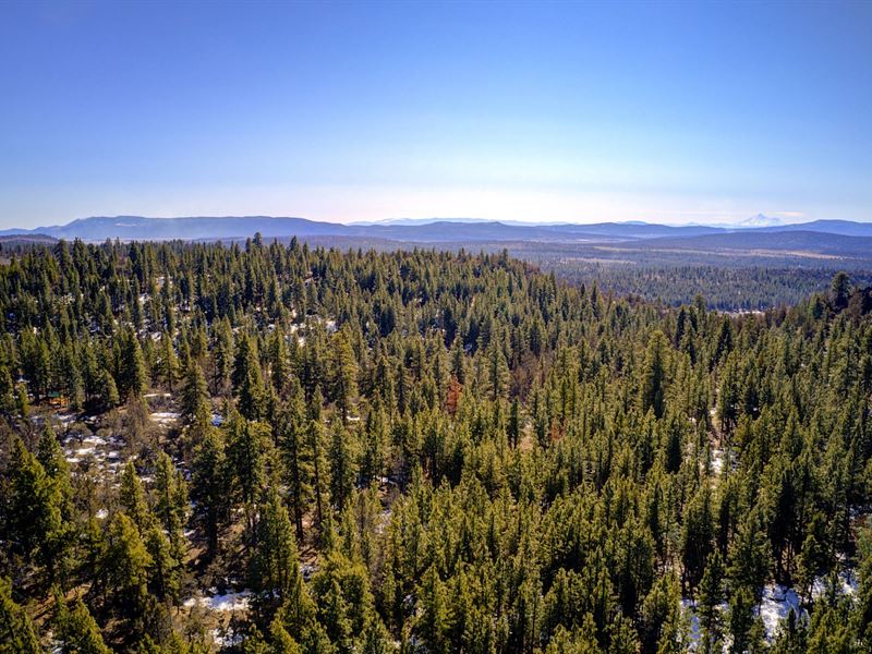2.25 Acre Gem in Klamath County OR : Bonanza : Klamath County : Oregon