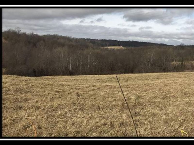 Tract 6 Orpheus Road : Bloomfield : Jackson County : Ohio
