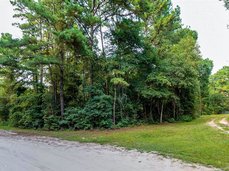 Wooded Corner Lot Near Preserve : Cleveland : Liberty County : Texas