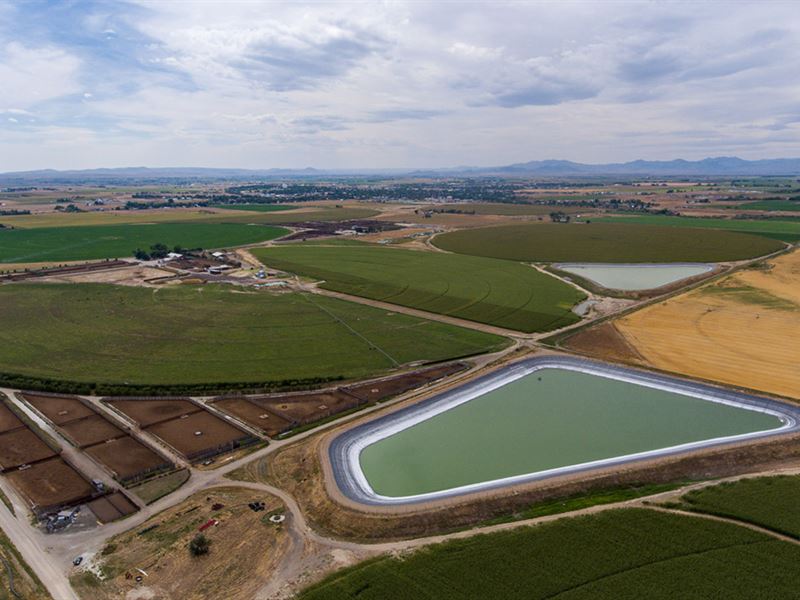 Shepard Farm & Feedlot : Wheatland : Platte County : Wyoming
