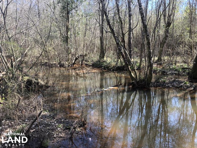 Evergreen Recreational And Timberla Land for Sale in Evergreen