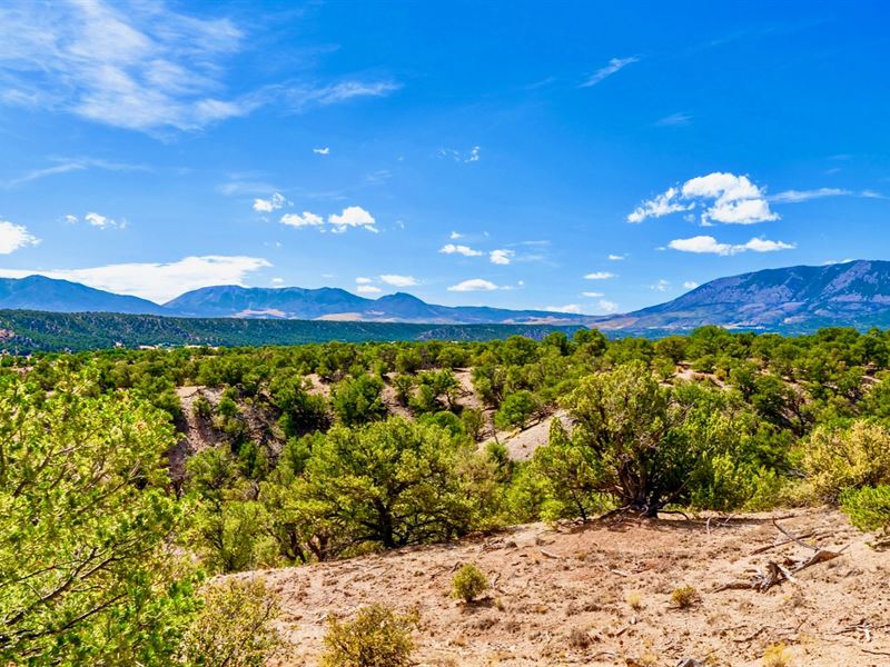 Road Frontage & Mountain Views : Gardner : Huerfano County : Colorado