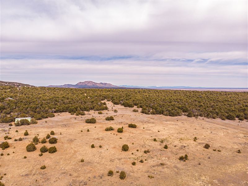 Edgewood New Mexico 37 Acres Wooded Land for Sale in Edgewood