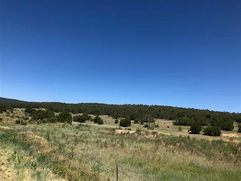 Edgewood New Mexico 79.94 Acres : Edgewood : Bernalillo County : New Mexico