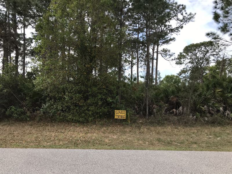 Nice Lot Established Neighborhood : Port Charlotte : Charlotte County : Florida