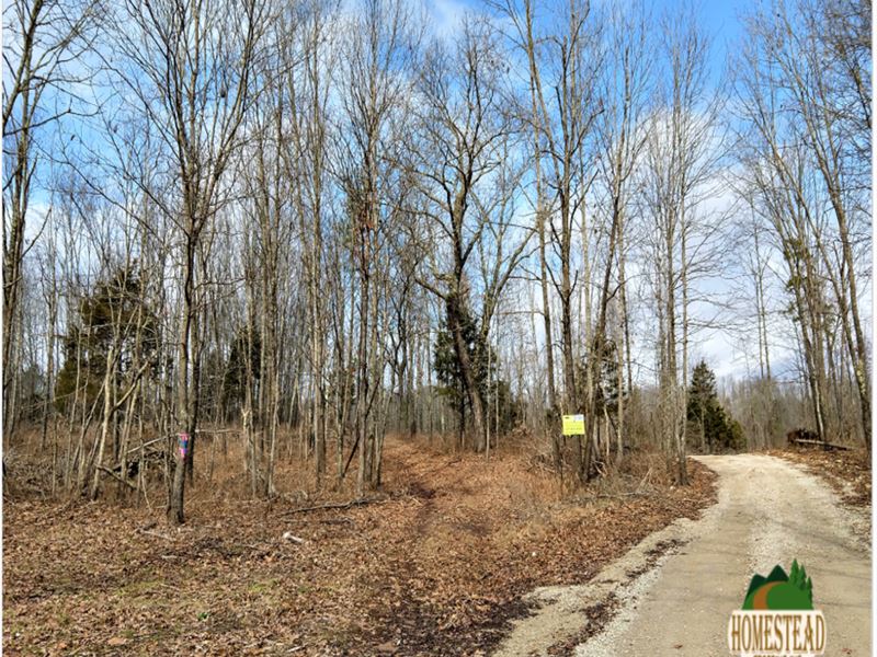 Off-Grid Retreat with Private Drive : Mountain View : Shannon County : Missouri