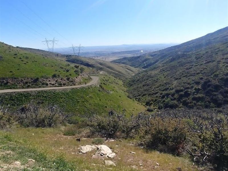 Large Flat Lot for Your Dream Home : Lake Los Angeles : Los Angeles County : California