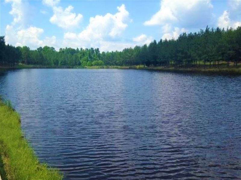 20 Acres on Pond : Greensboro : Greene County : Georgia