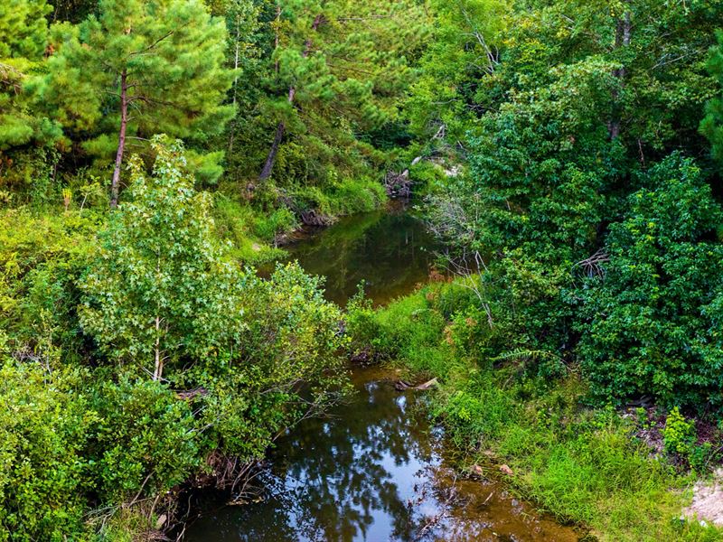 Lot Backing Greenbelt, Creek : Cleveland : Polk County : Texas