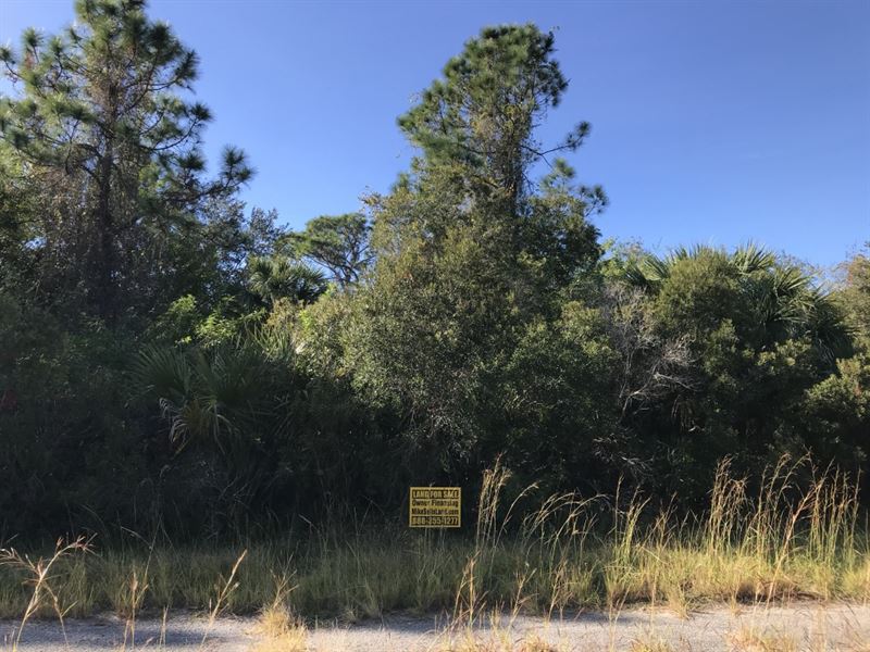 Great Spot for Off Grid Home : North Port : Sarasota County : Florida