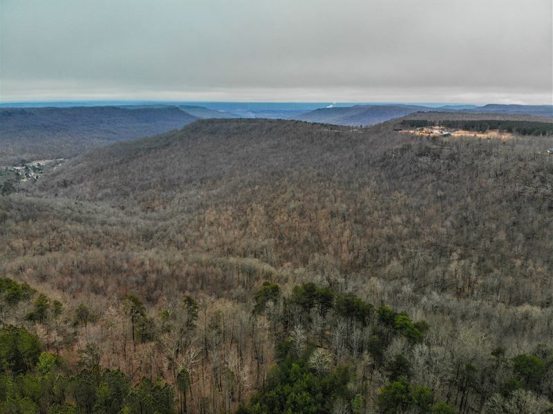 Affordable Priced Brow Lot : South Pittsburg : Marion County : Tennessee