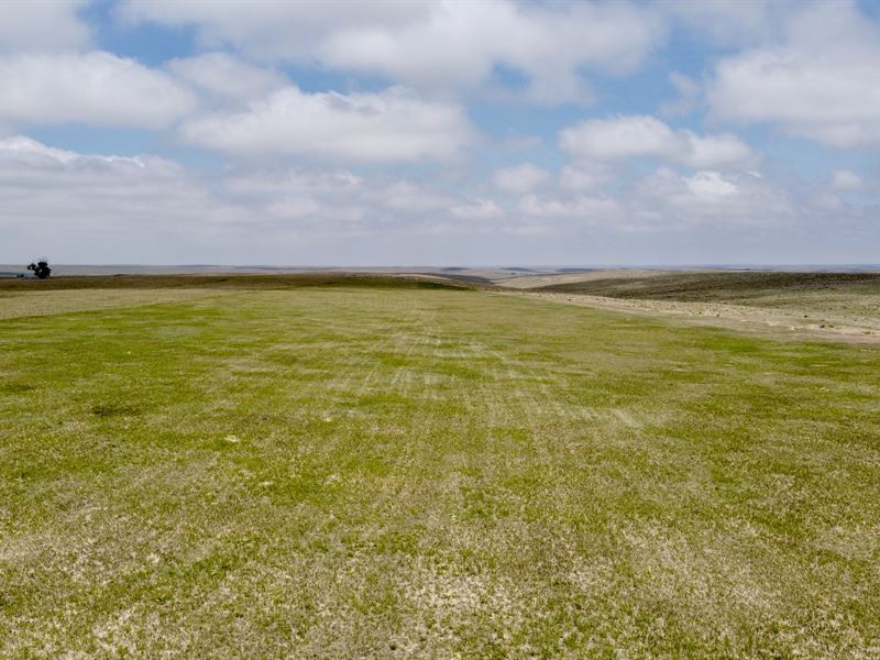 240 Acres in Agate, Colorado Land for Sale in Agate, Elbert County