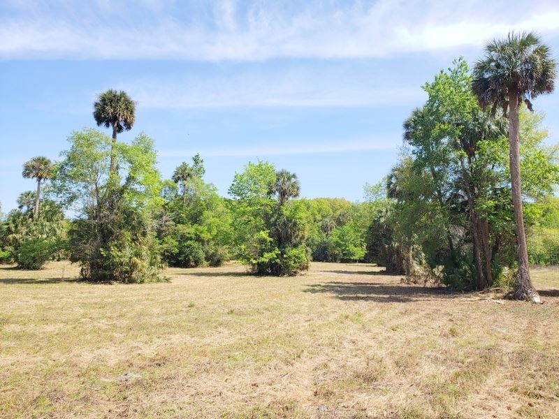 Orange Lake Acres 24+/ Ac Land for Sale in Citra, Marion County