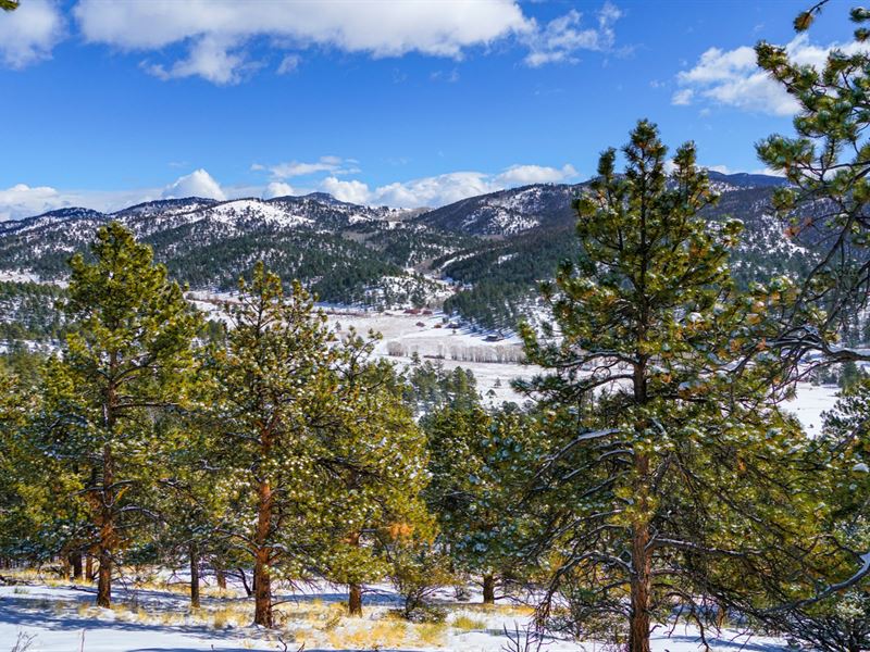 Wooded Mountain Land with Utilities : Westcliffe : Custer County : Colorado