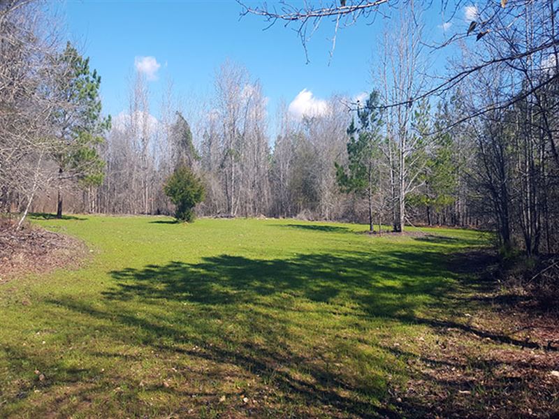 Little River Forest Land for Sale in Eatonton, Putnam County,