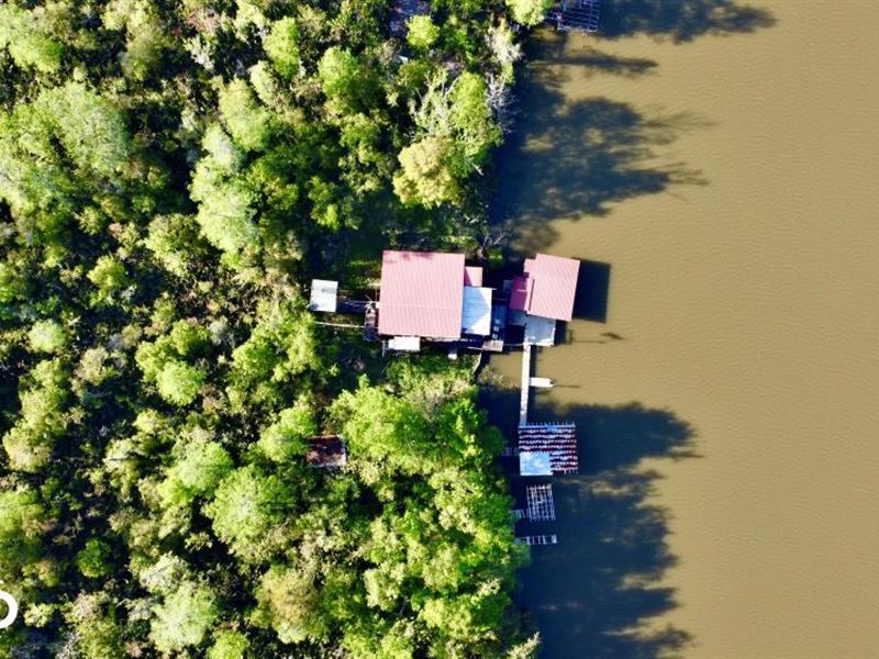 Mobile Tensaw Delta Fish & Hunting : Bay Minette : Baldwin County : Alabama