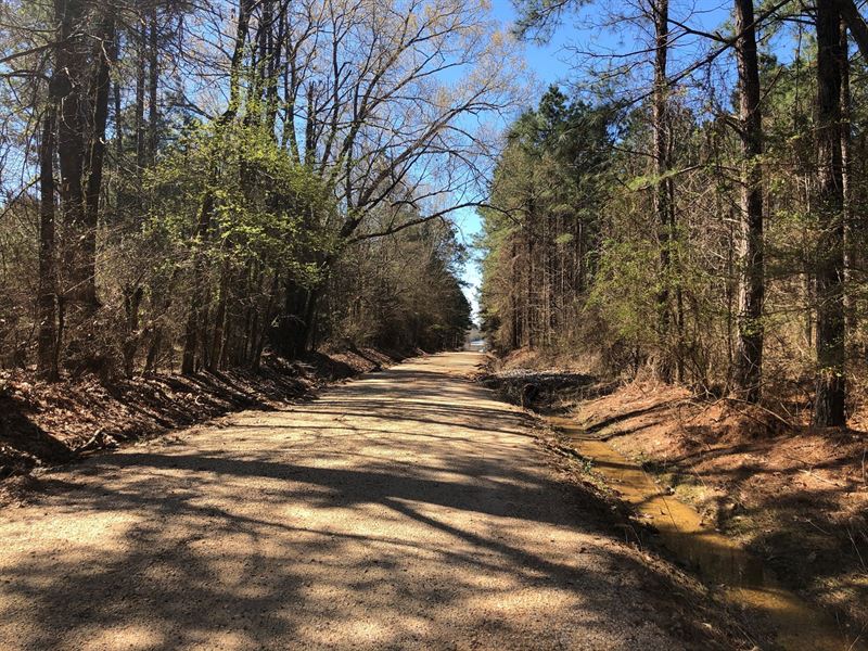 Land Felsenthal Prairie Island, Land for Sale in Arkansas, 234306