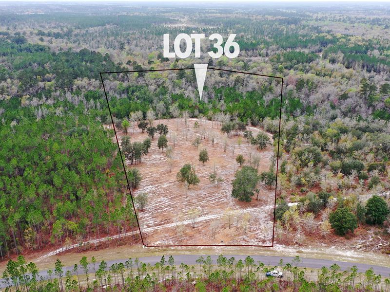 Lot 36, Deep Creek Plantation Land for Sale in Bryceville, Nassau