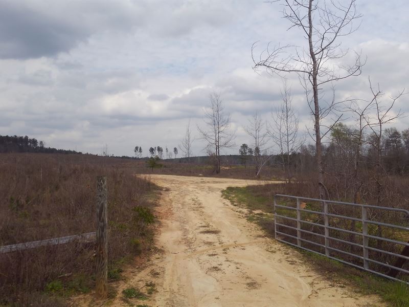 Hunting & Investment Opportunity : Sandersville : Baldwin County : Georgia