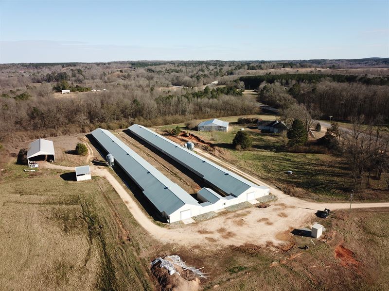 J&B Farm Two House Breede : Haleyville : Marion County : Alabama