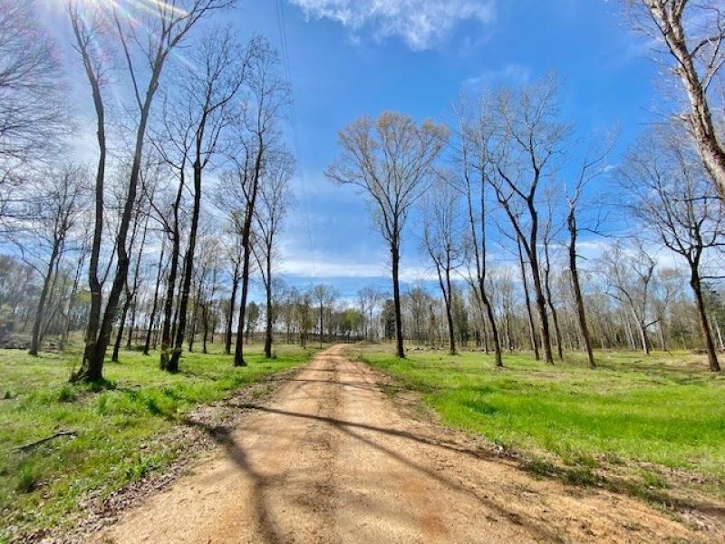 cabin and 38 acres tylertown ms land for sale in ms land for sale by owner