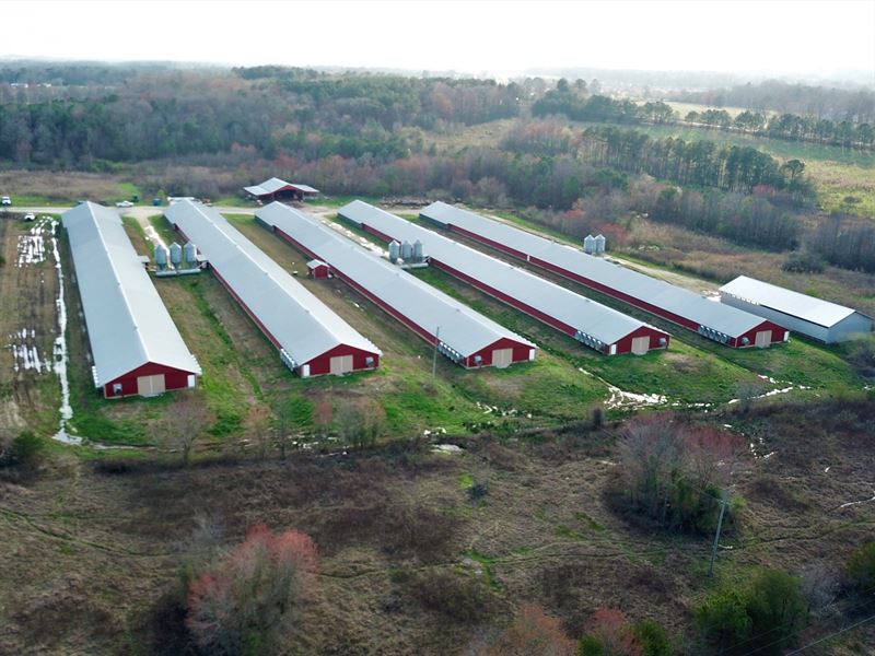 T&W Poultry Five House Bro : Fort Payne : Dekalb County : Alabama