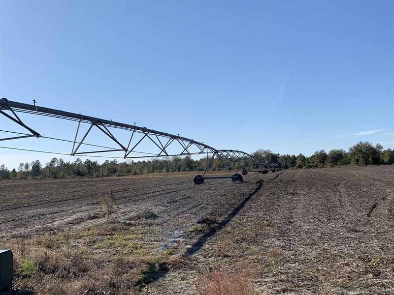 Working Farm Land Under Pivot : Millwood : Ware County : Georgia