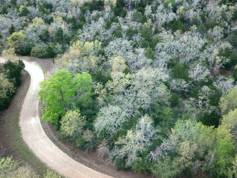 1.43 Acres in Somerville, TX : Somerville : Burleson County : Texas