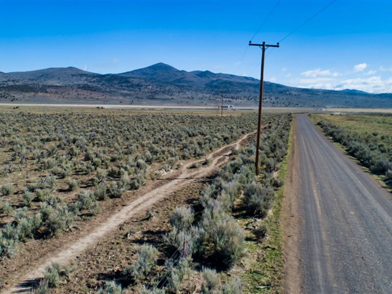 Termolicious Power Hemp Parcel : Termo : Lassen County : California
