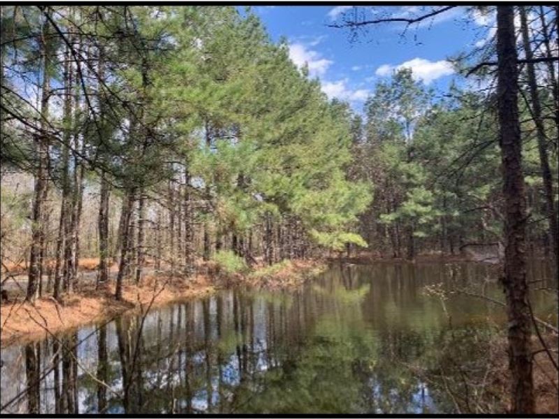 land for sale louisiana land for sale louisiana