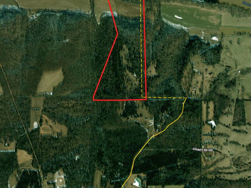 Gasconade River Property, Vienna Land for Sale in Vienna, Maries