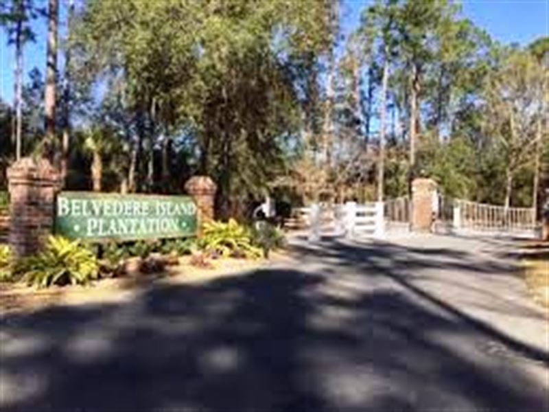 Belvedere Island Plantation Lot 169 : Darien : McIntosh County : Georgia