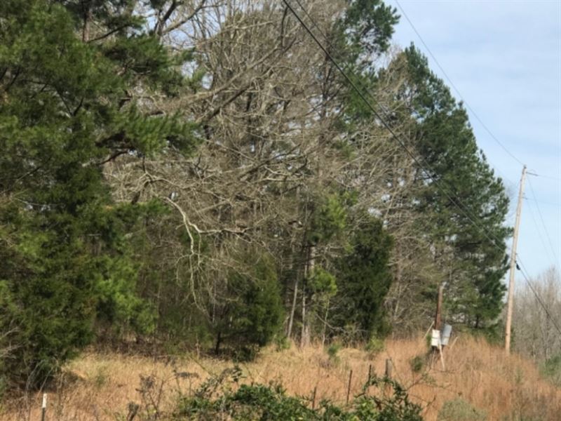 37 Acres in Hinds County in Raymond : Raymond : Hinds County : Mississippi