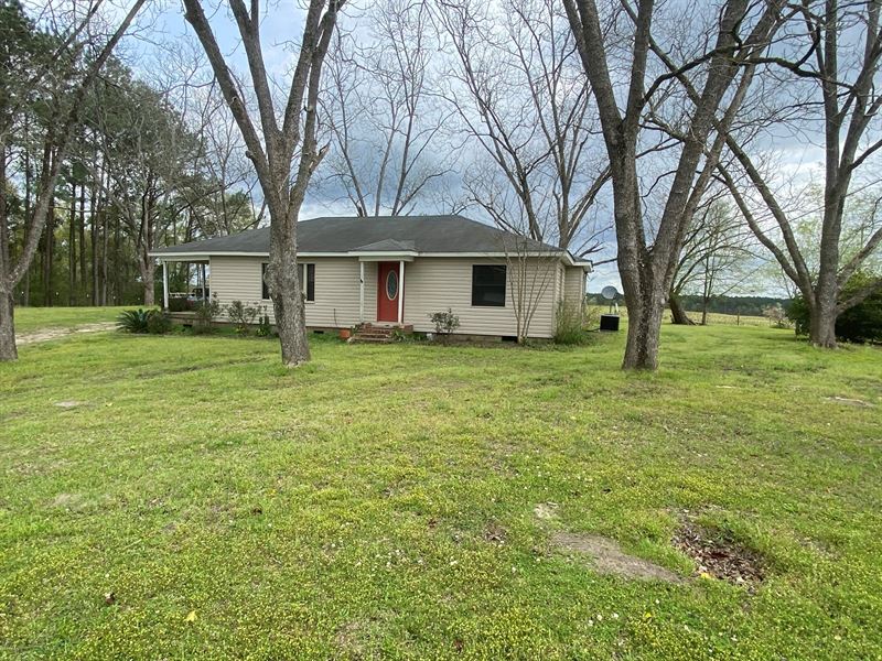 3 Bedroom, 2 Bath Home Dozier Hwy Land for Sale in Brantley, Crenshaw