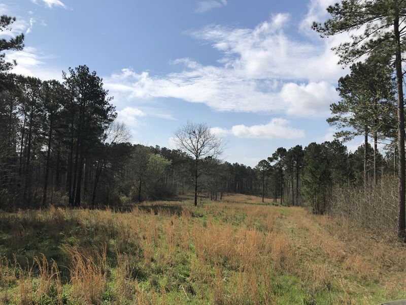 Mountain View in Harris County, GA : Land for Sale in Pine ...