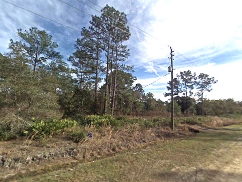 Flagler Estates Mobile Friendly Land for Sale by Owner in Hastings