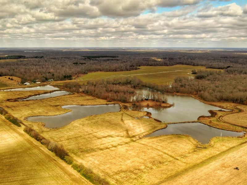 The Lawson-Trotter Farm : Roe : Monroe County : Arkansas